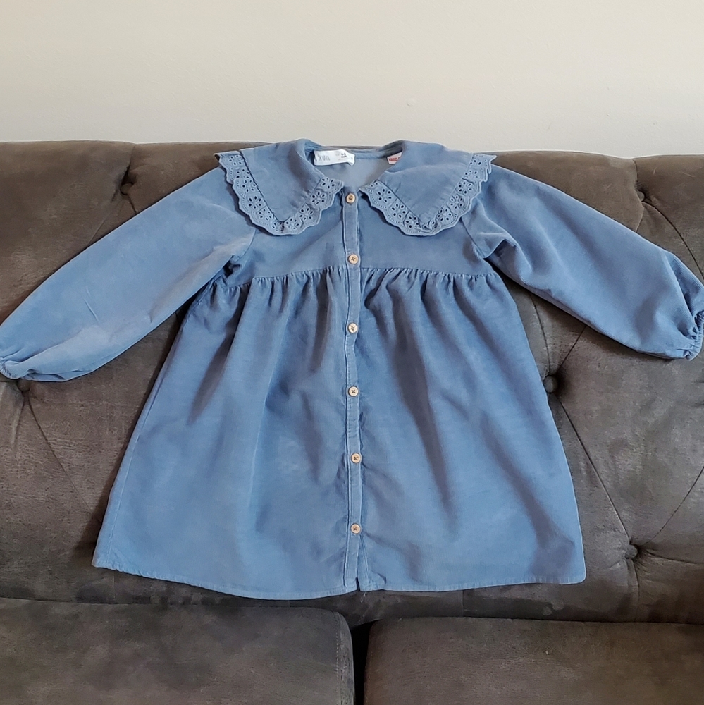 Zara velvet dress